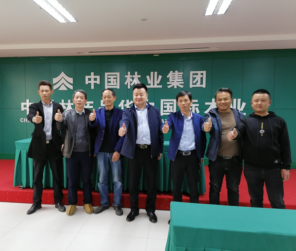 抗疫初捷，中林華中木業(yè)喜迎5家企業(yè)簽約落戶